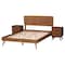 Baxton Studio Demeter Mid-Century Modern Walnut Brown Finished Wood Queen Size 3-Piece Bedroom Set 242-9408-9429-11298-11298-ZORO - alternate 2
